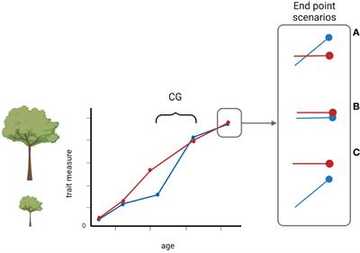 Editorial: Compensatory growth: an adaptation to environmental stress in plants and animals